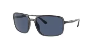 Image of Ray-Ban Sunglasses RB4375 876/80