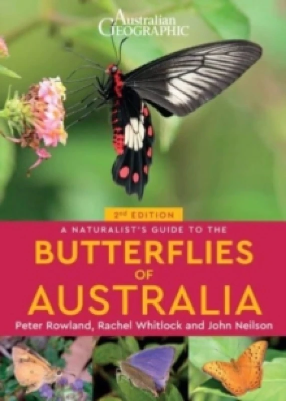 Image of A Naturalist's Guide to the Butterflies of Australia (2nd) Paperback / softback