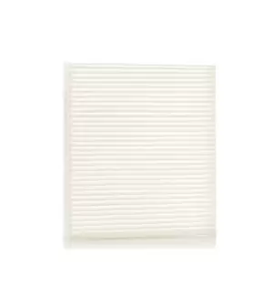 Image of RIDEX Pollen filter KIA 424I0276 971332K000