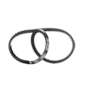 Image of RIDEX V Belt VW,AUDI,BMW 10C0058 116100210300,60574816,076903137 Fenner Belt 2A414,2A801,1311578,1316785,32411288291,32421311578,32421316785,127132