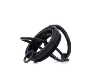 Image of RIDEX Brake Caliper Repair Kit 405R0150 Caliper Repair Kit,Brake Caliper Rebuild Kit VW,MERCEDES-BENZ,FORD,Passat Variant (3C5),Passat Limousine (3C2)