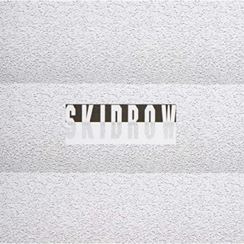 Image of James Ferraro - Skid Row CD