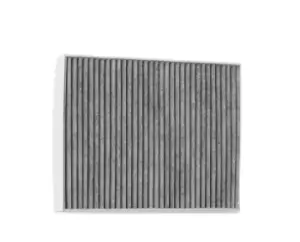 Image of RIDEX Pollen filter VW,PORSCHE 424I0244 95857221900,7P0819631