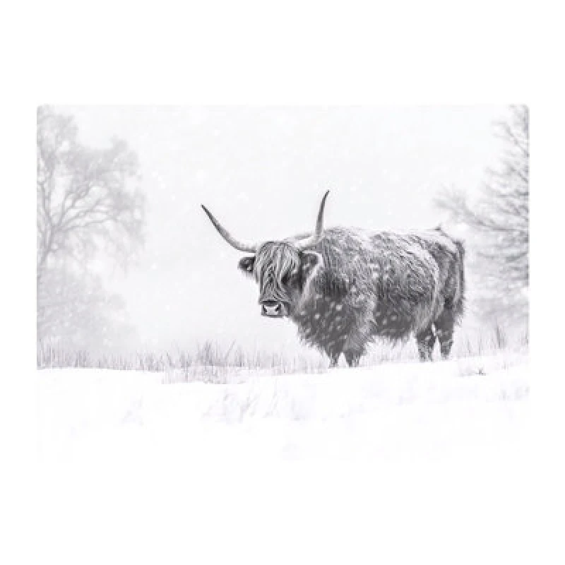 Image of Warren Reed Designer Snowy Black And White Highland Cow Glass Chopping Board