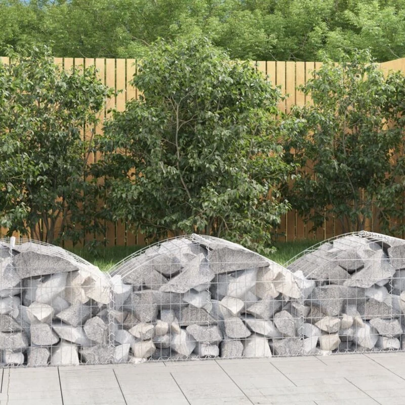 Image of VIDAXL Vidaxl - Arched Gabion Basket 100x50x40/60cm Galvanised Iron 8720845650957
