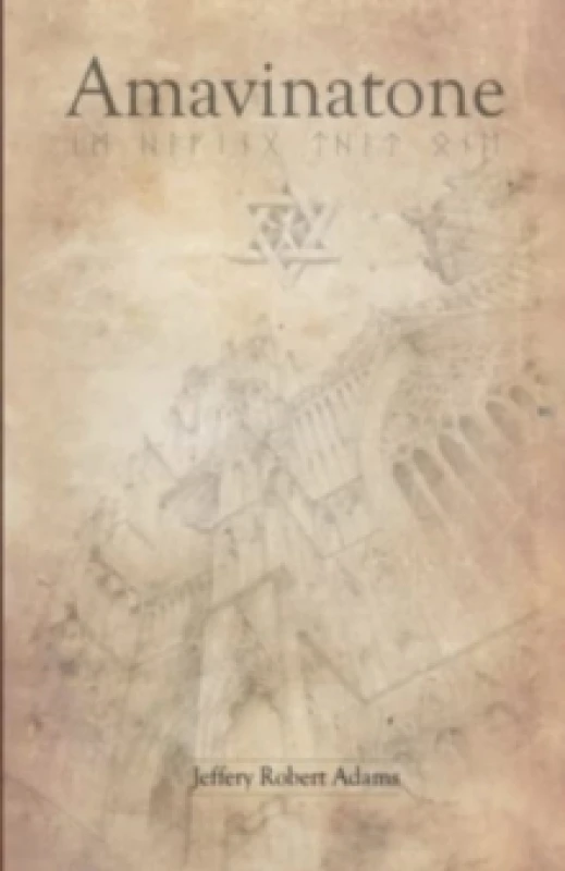 Image of Amavinatone Paperback / softback