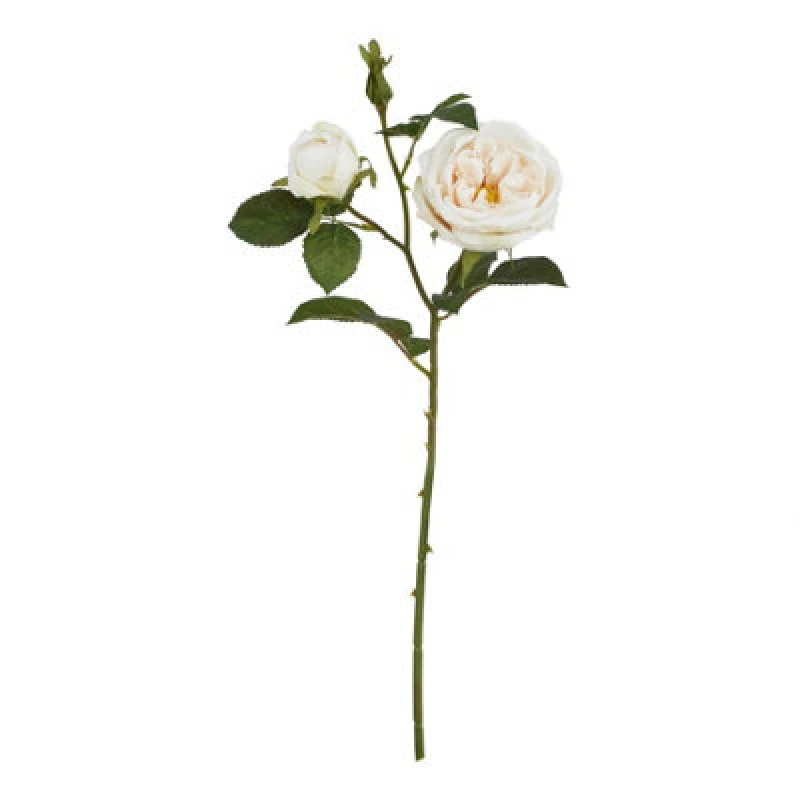 Image of Hill Interiors The Natural Garden Collection Charity Rose Artificial Flower Pale Blush (One Size)