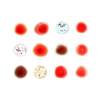 Image of Peter Gabriel - Scratch My Back / And I'll Scratch Yours Vinyl