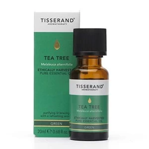 Image of Tisserand Aromatherapy Tea Tree Essential Oil Ethically Harvested 20ml