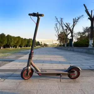 Image of Surg City S Electric Scooter (anthracite)