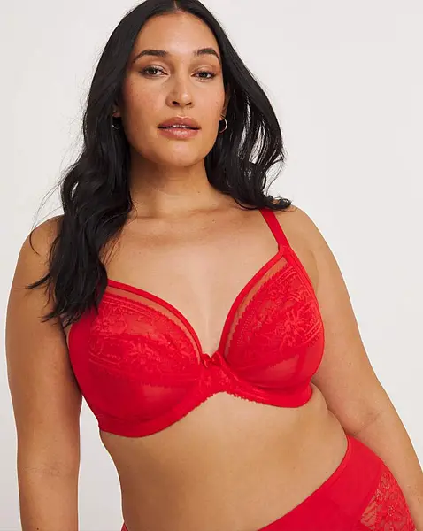 Image of Elomi Elomi Kendra Plunge Wired Bra Cherry Cherry Female 36E HQ48301