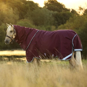 Image of Rambo Duo Heavy Turnout - Purple