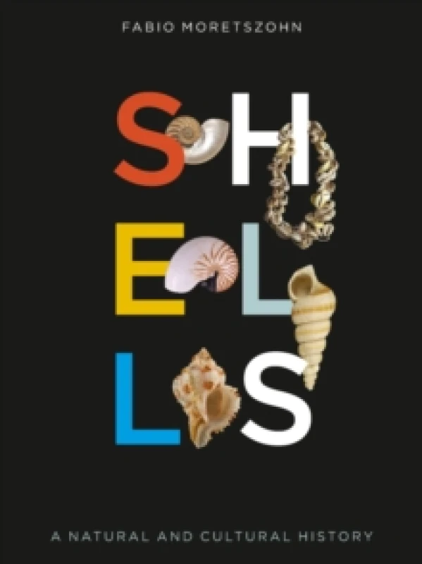 Image of Shells : A Natural and Cultural History Hardback