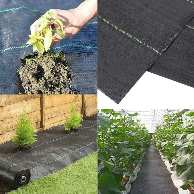 Image of Gr8 Garden Weed Control Fabric Membrane Garden Landscape Ground Cover Sheet 2m x 10m Black unisex