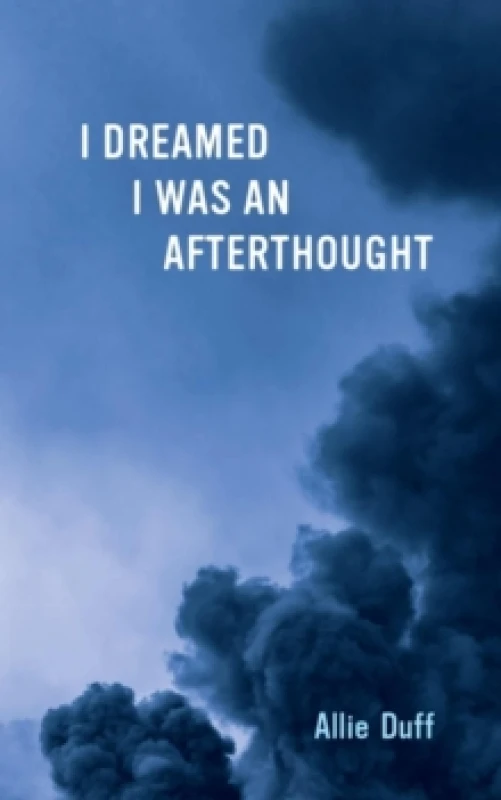 Image of I Dreamed I Was an Afterthought Paperback / softback