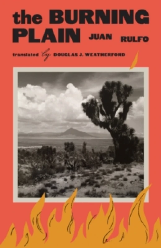 Image of The Burning Plain Paperback / softback