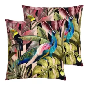 Image of Toucan and Peacock Outdoor Twin Pack Cushion Multi