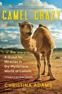 Image of Camel Crazy : A Quest for Healing in the Secret World of Camels