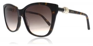Image of Swarovski SK0129 Sunglasses Havana 52F 58mm