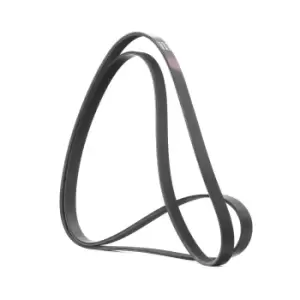 Image of RIDEX V-ribbed belt AUDI,MERCEDES-BENZ,OPEL 305P0100 078903137K,078903137P,5103565AA 68027636AA,9091602462,53012009,53013298AA,68027636AA,68045801AA