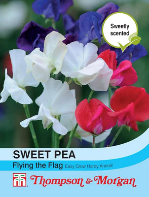 Image of Thompson & Morgan Sweet Pea Flying The Flag 1 Seed Packet (20 Seeds)