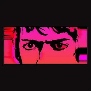 Image of Delicate Steve - Till I Burn Up Vinyl