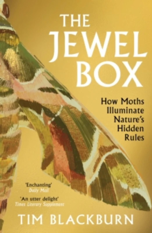 Image of The Jewel Box : How Moths Illuminate Natures Hidden Rules Paperback / softback