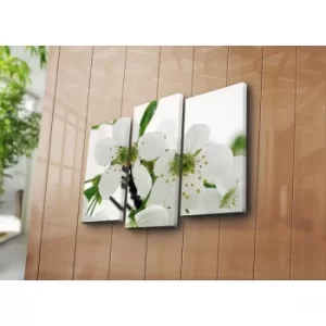 Image of 3KBPAT-7 Multicolor Decorative Canvas Painting (3 Pieces)