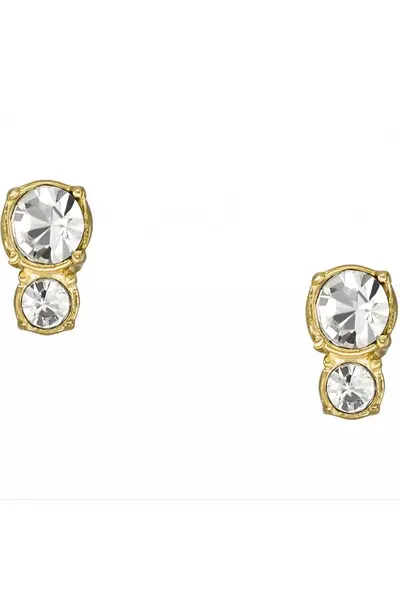 Image of Fossil Jewellery Vintage Stainless Steel Earrings - Jf04373710 Gold