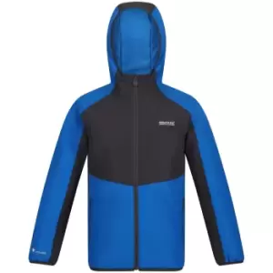 Image of Regatta Boys Volcanics VI Waterproof Breathable Padded Coat 15-16 Years- Chest 35-36', (89-92cm)