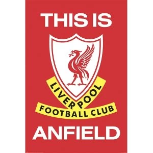 Image of Liverpool FC - This Is Anfield 61 x 91.5cm Maxi Poster