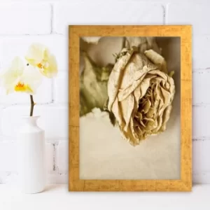 Image of AC970629472 Multicolor Decorative Framed MDF Painting