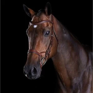 Image of Collegiate ComFiTec Training Bridle - Brown