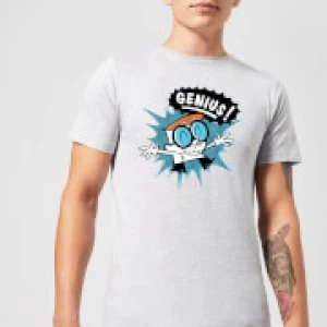 Image of Dexters Lab Genius Mens T-Shirt - Grey - M