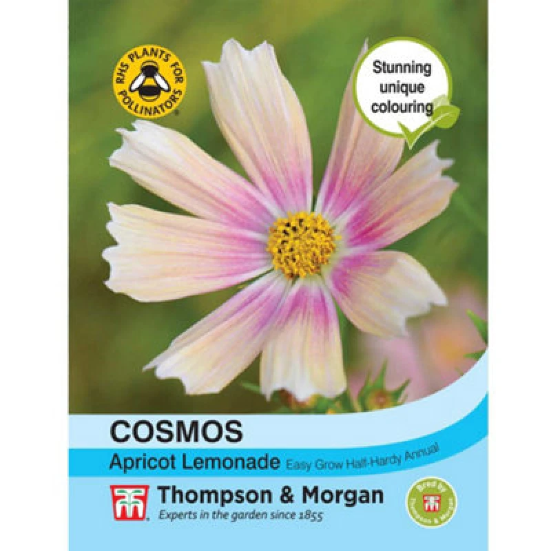 Image of Thompson & Morgan Cosmos Bipinnatus Apricot Lemonade 1 Seed Packet (40 Seeds)