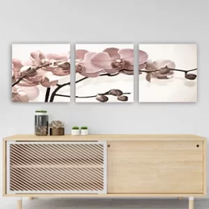 Image of P400029 Multicolor Decorative Canvas Painting (3 Pieces)