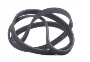 Image of GATES Poly V-Belt PORSCHE,VOLVO 6DPK1825 9A110221700,30731811,30731862 Ribbed Belt,V Ribbed Belt,Multi V Belt,Poly Belt,V-Ribbed Belts 8692141,9458469