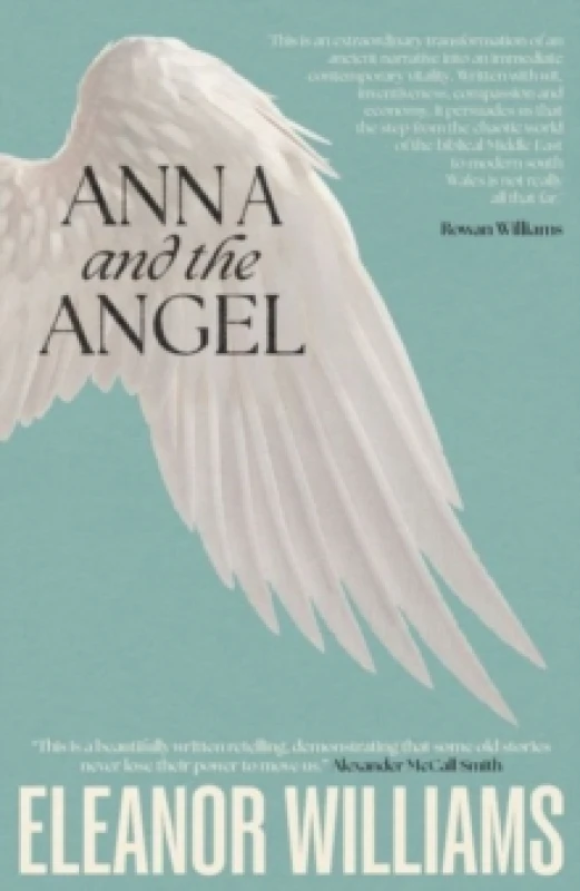 Image of Anna and the Angel Paperback / softback