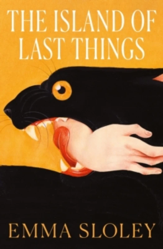 Image of The Island of Last Things Paperback / softback