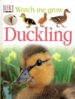 Image of Duckling by Lisa Magloff Hardback