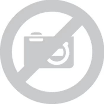 Image of WISO Mein Geld 2021 Full version, 1 licence Windows Finance & Accounting