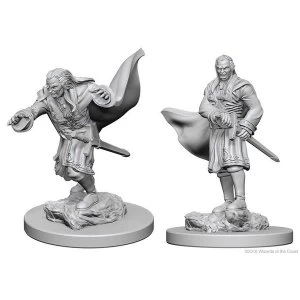 Image of D&D Nolzur's Marvelous Unpainted Miniatures (W1) Vampires