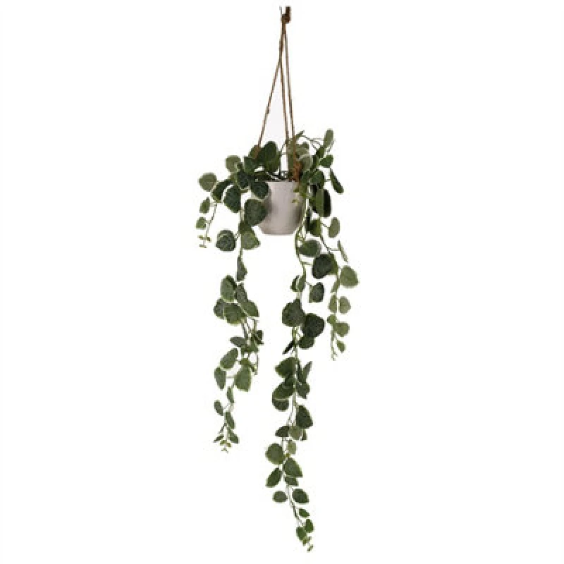 Image of Leaf 90cm Artificial Potted Hanging Trailing Green Plant - String of Hearts Green unisex