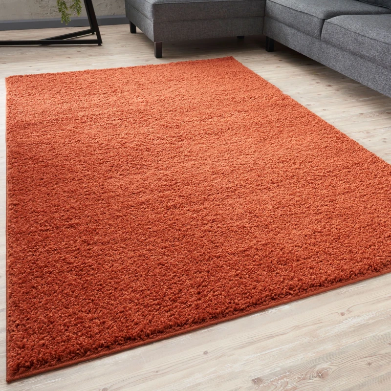 Image of The Rugs Modern Luxury Shaggy Rug Solid Terra 120X170 Cm, Red 5060912231454