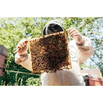 Image of Virgin Experience Days Urban Beekeeping & Honey Beer Tasting E-Voucher - None