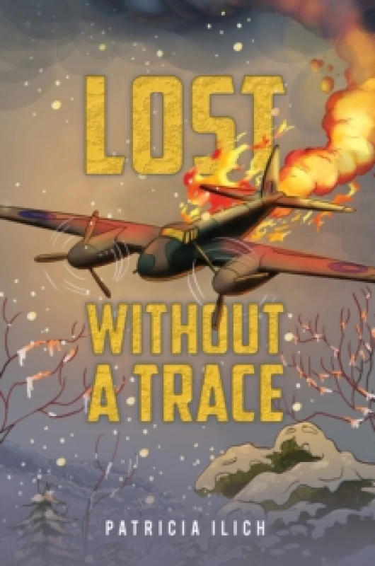 Image of Lost Without a Trace. Paperback. By Patricia Ilich Books