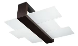 Image of Feniks 2 Light Flush Ceiling Light Black, E27