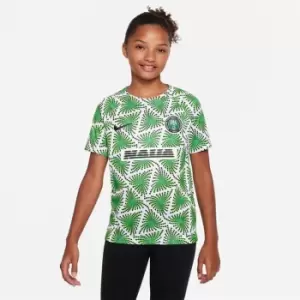 Image of Nike Nigeria Pre Match Top 2022 2023 Juniors - Green