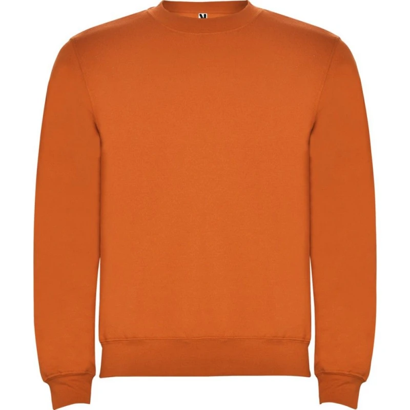 Image of Roly Clasica boys's Children's sweatshirt in Orange