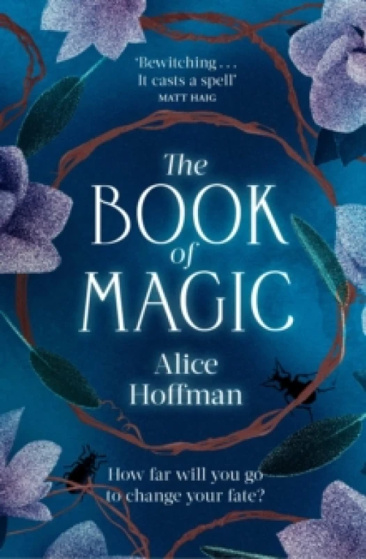 Image of The Book of Magic : Volume 4 Paperback / softback
